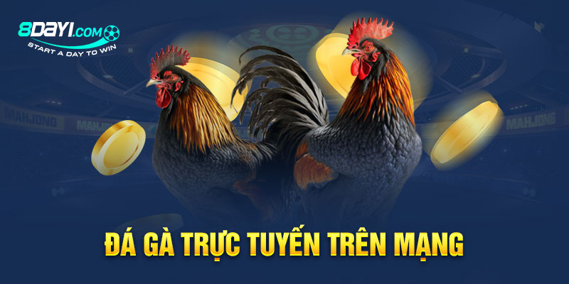 Đá Gà trực tuyến trên mạng