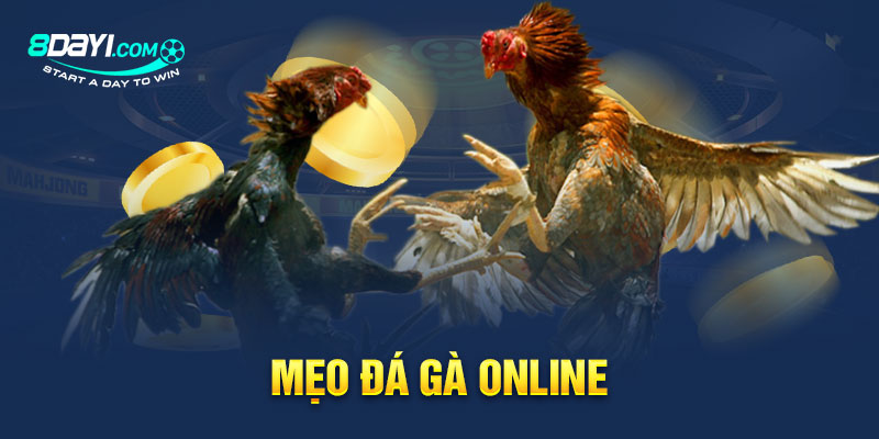 Mẹo Đá Gà online