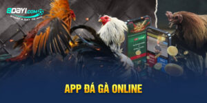 App Đá Gà Online