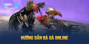 Hướng Dẫn Đá Gà Online