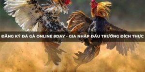 Đăng ký đá gà online 8DAY - Gia nhập đấu trường đích thực