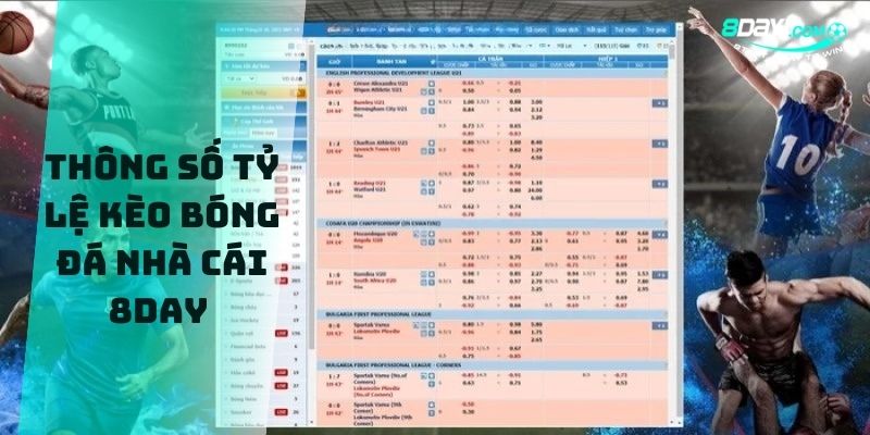8DAY_Web Xem Tỷ Lệ Cá Cược Bóng Đá Số Chất Lượng Nhất