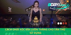 8DAY_Bật Mí Cách Chơi Xóc Đĩa Luôn Thắng 100% Cho Tân Binh